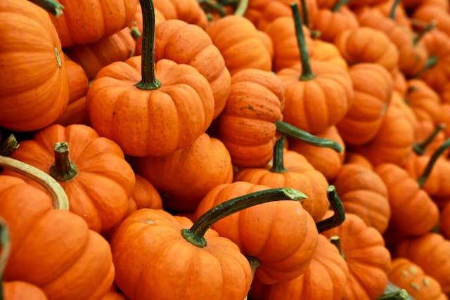 It’s Pumpkin Season