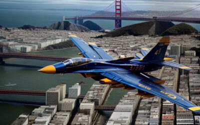 It’s a bird! It’s a plane! … It’s Fleet Week!!