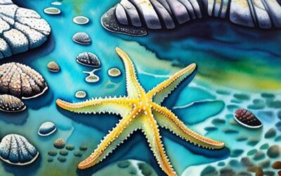 Secrets Under the Sea: Tidepool Adventures Around the Bay