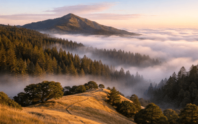 A Step Above the Clouds: Hike Mt. Tam and Muir Woods