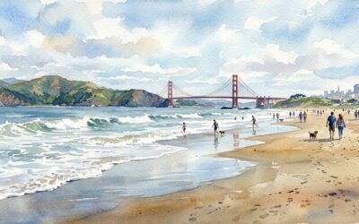 Top Five Beaches in the Bay