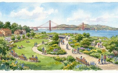 Slow down in the city: SF’s Best Green Spaces 